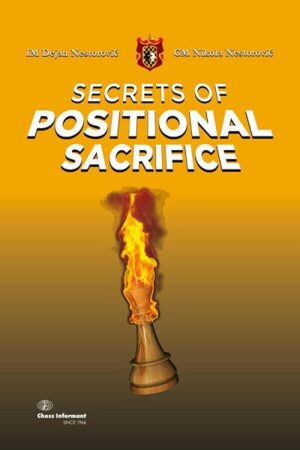 Drill Your Chess Endgames!