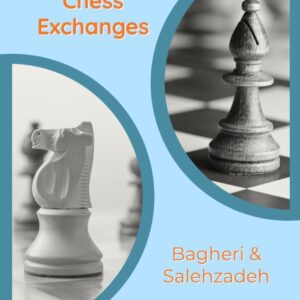 Understanding Chess Exchanges